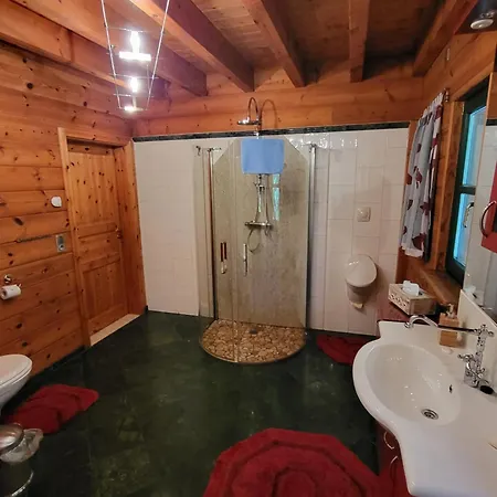 Falkenstein Hütten Haus Waldluft Apartamento *