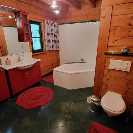 Falkenstein Hütten Haus Waldluft Apartamento Bad Schandau